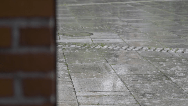 Rain falling on a wet pavement