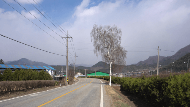 시골 지역의 좁은 2차선 도로