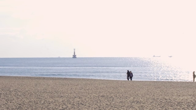 People walking along a serene beach