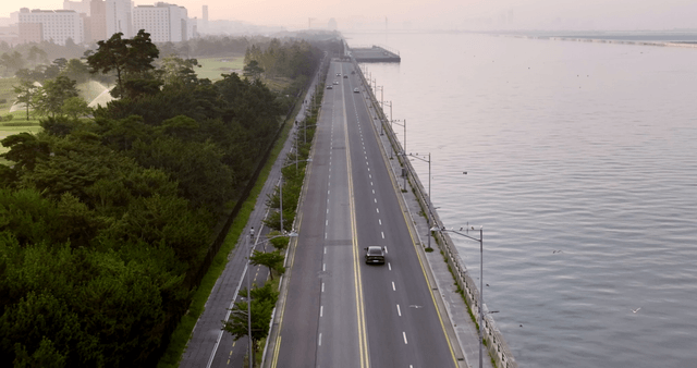 Coastal road and trees