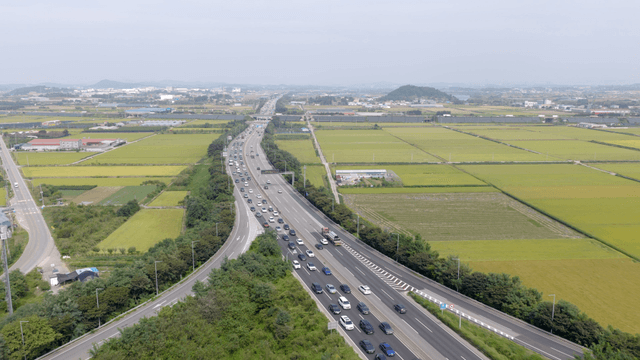 Highway through vast green fields