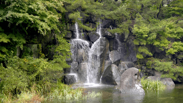 Serene waterfall surrounded by lush greenery