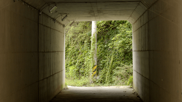푸른 숲으로 이어지는 터널