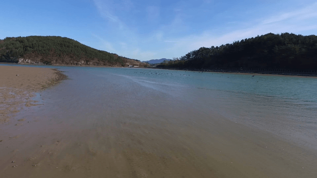 Birds flying over a serene coastal area