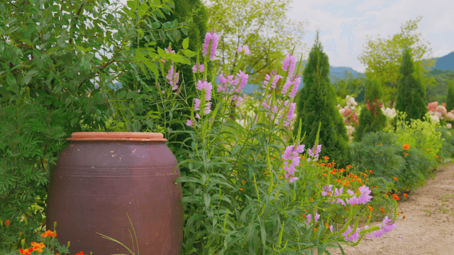 Garden with various flowers and jars