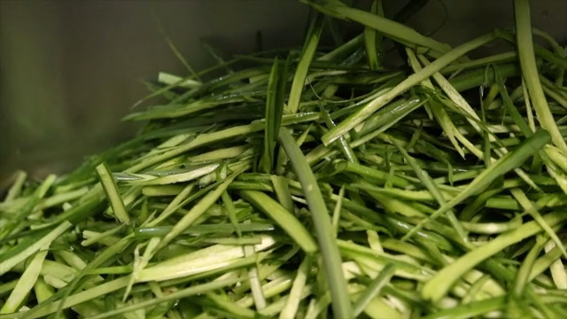 Freshly sliced green vegetables in a bowl