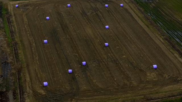 Large field with hay bales scattered