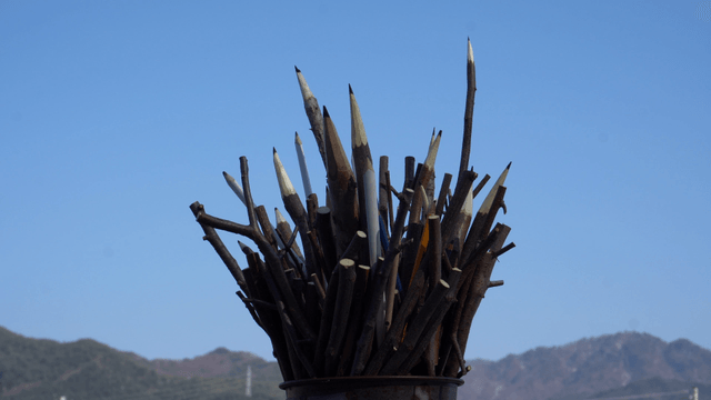 Wooden pencil sculpture on tree branch under clear sky