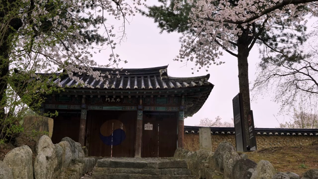 벚꽃이 핀 전통 한옥