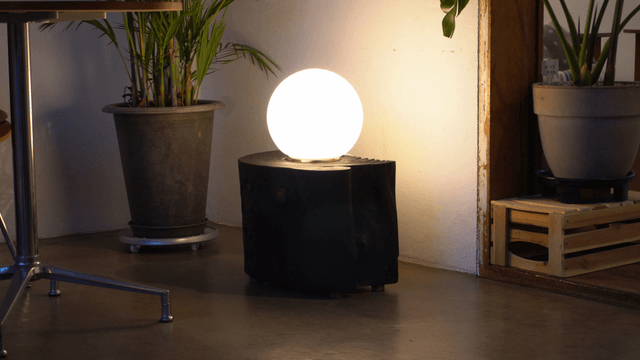 Cozy indoor space with flowerpots and round lamps