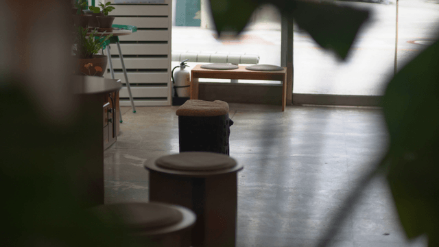 Indoor space with plants and seating