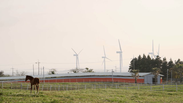 Peaceful farm with horses and wind turbines
