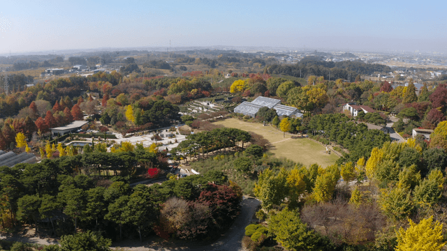 A scenic view of a botanical garden