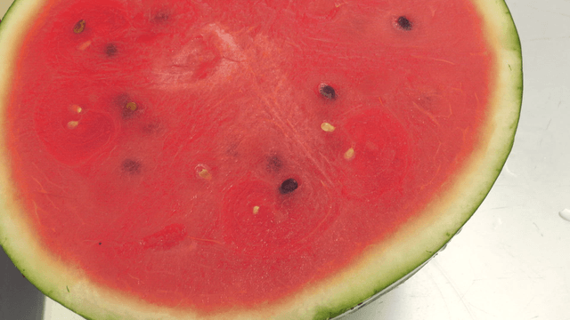 Freshly halved watermelon on tray