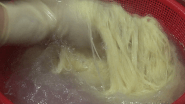 Gloved hands washing noodles in water