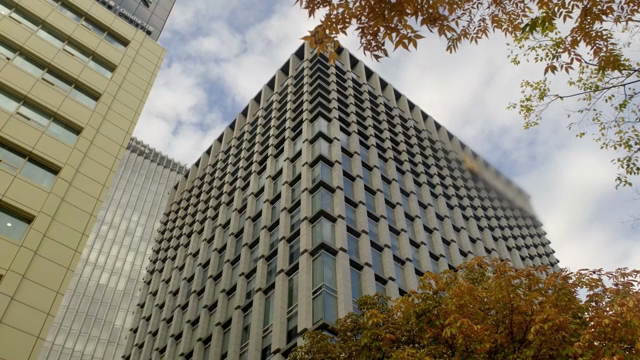 Modern skyscraper with autumn leaves