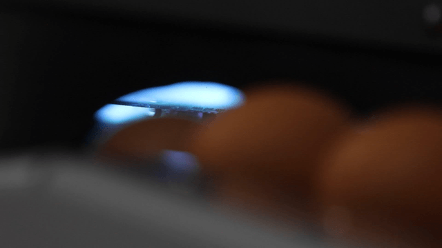 Eggs processed under blue lighting