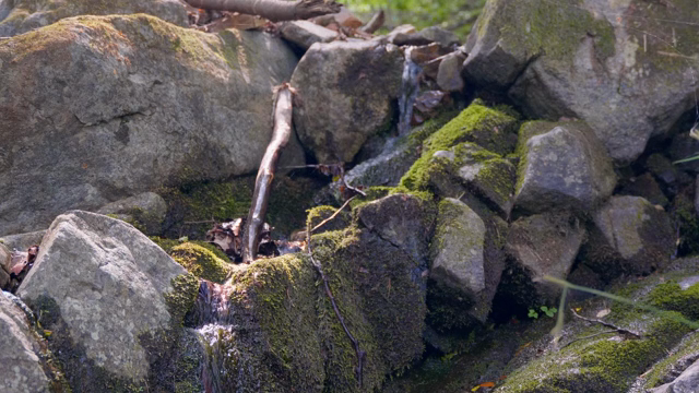 Moss-covered rocks with a small stream
