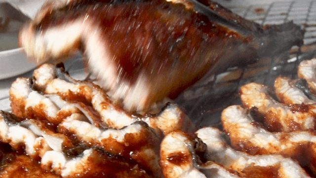 Grilled seasoned eels coated with sauce on barbecue