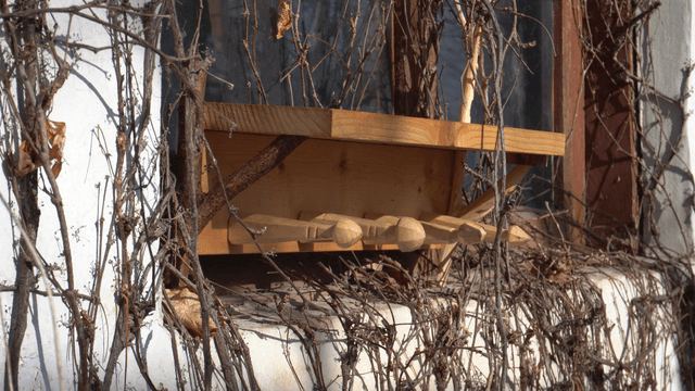 Wooden shelf surrounded by dry vines