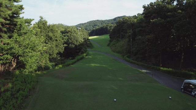 Golf course surrounded by lush trees
