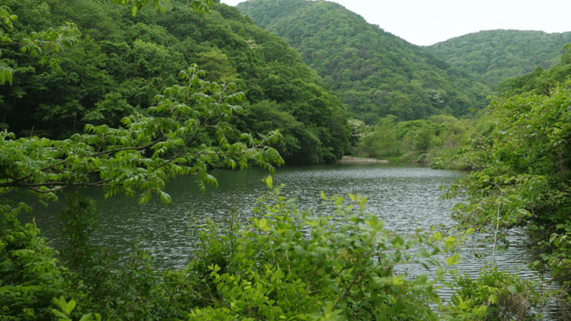 푸른 산을 흐르는 고요한 강