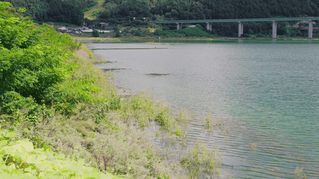 Shoreline view with a bridge across the lake