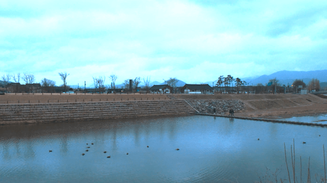 오리와 먼 한옥들이 있는 고요한 강