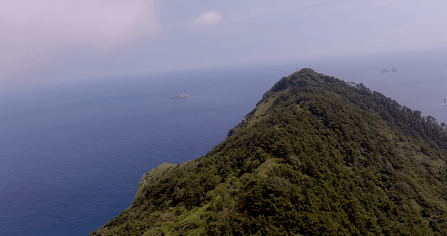 A scenic coastal island with lush greenery