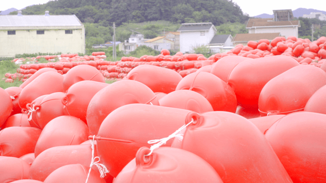 시골 들판에 흩어진 빨간 부표