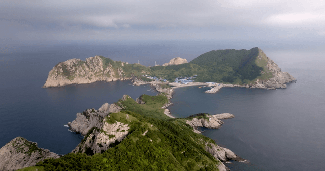 Aerial view of a lush green island