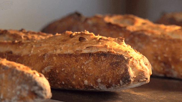 뜨거운 오븐에서 구워지는 빵