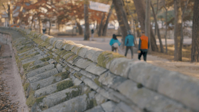 Falling leaves beside traditional tile stone wall with passing people