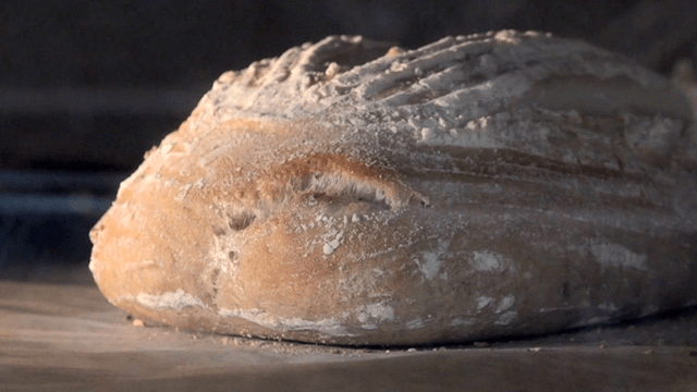 오븐에서 빵이 구워지는 과정