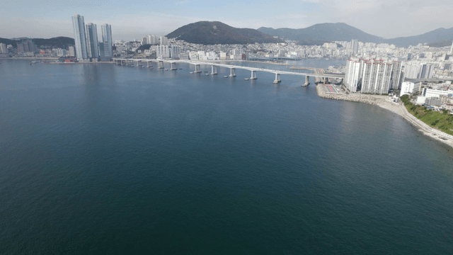 Coastal city Busan with a bridge and skyscrapers