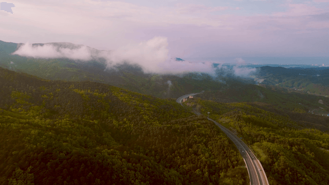 Winding road crossing a verdant hillside