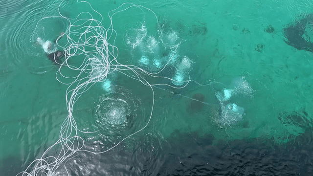 공기방울 사이로 수중을 탐험하는 잠수부들