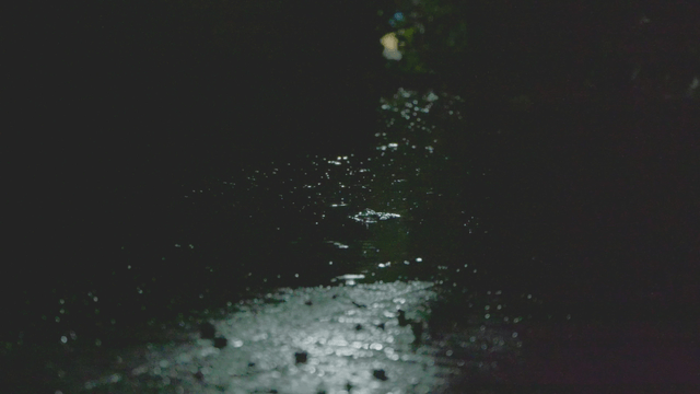 Raindrops glistening on a dark road surface