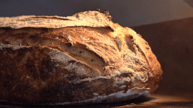 오븐에서 구워지고 있는 사워도우