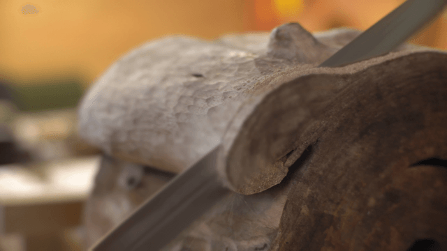 Long saw cutting a log with repetitive motion
