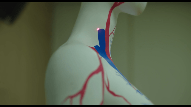 Mannequin with anatomical markings