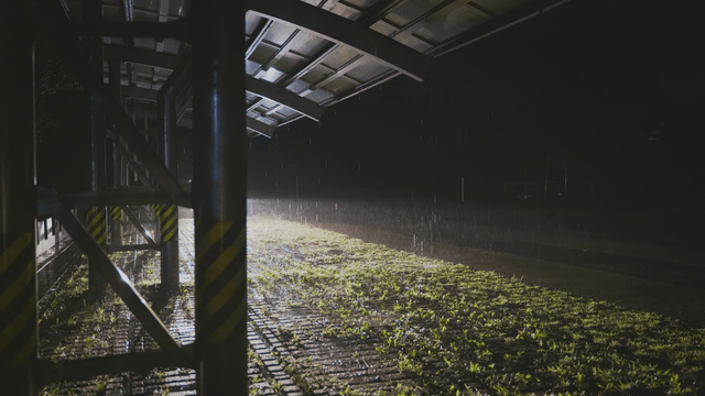 Lights illuminating a rainy road