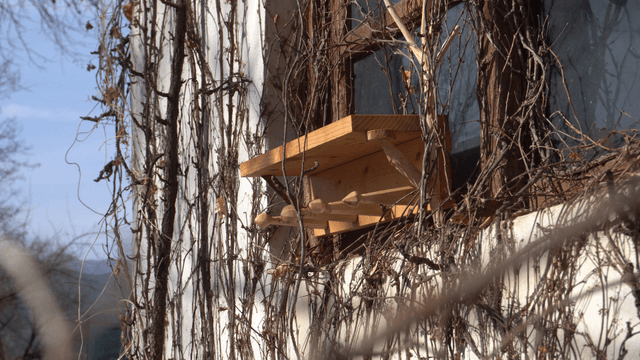 Handcrafted wooden shelf wrapped with dry vines
