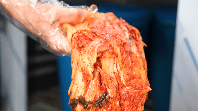 Red seasoned kimchi lifted by gloved hand
