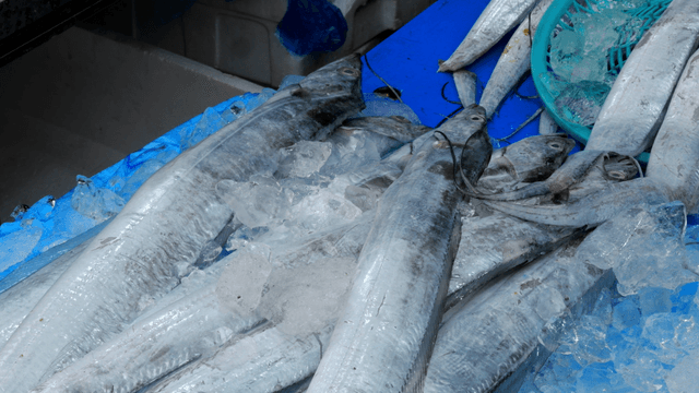 Fresh fish on ice at a market