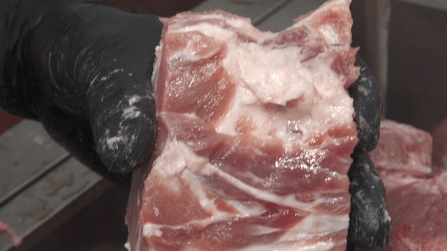 Gloved hand holding raw meat