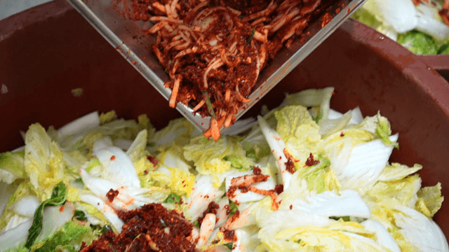 Mixing kimchi seasoning with napa cabbage