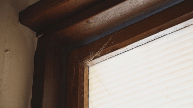 Dusty window corner with cobwebs