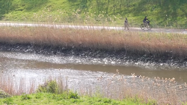 People cycling along a riverside path