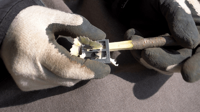 Hand shaping a wooden stick with a carving tool